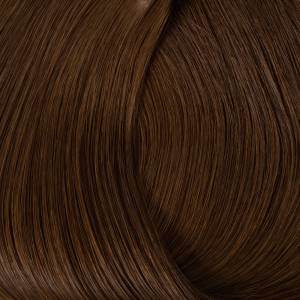 Hazelnut Whip Layers® Extension