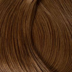 Amber Spice Layers® Extension